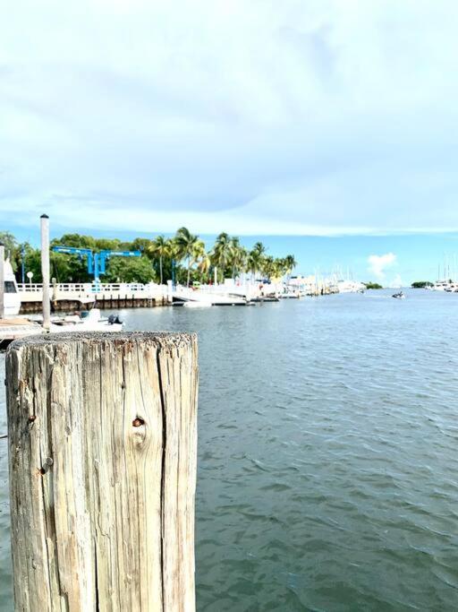 Groveo4 10 Min From The Beach ไมอามี ภายนอก รูปภาพ